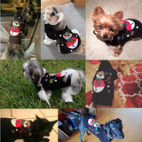 Holiday Sublime Large & X-Large Dog Sweaters