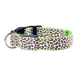 Green LED Dog Collar, Green Leopard Print Dog Collar, Green Dog Collar, Dog Collar