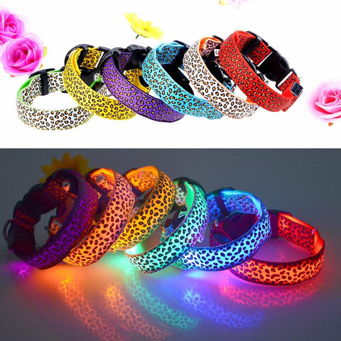 LED Dog Collar, Leopard Print Dog Collar, Dog Collar