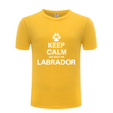 Keep Calm and walk the Labrador t-shirt, yellow keep calm t-shirt