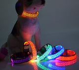 LED Dog Collar, Leopard Print Dog Collar, Dog Collar
