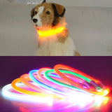 Luminous LED Pet Collars for Night Time Safety - 7 Colors Available!