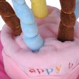 Pet's Birthday Cake & Candles Hat, Pet Birthday Hat, Cake and Candle Hat