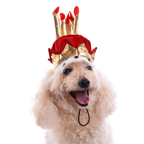 Royal Birthday Hat, Pet Royal Birthday Hat, Dog Royal Birthday Hat, Cat Royal Birthday Hat