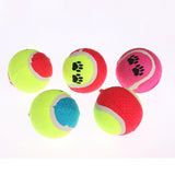 5 Pack of Multicolor Dog Toy Tennis Balls
