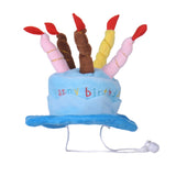 Pet's Birthday Cake & Candles Hat, Pet Birthday Hat, Cake and Candle Hat