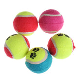 5 Pack of Multicolor Dog Toy Tennis Balls