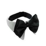 Adjustable Black Tie Collar for small pets