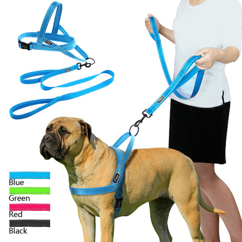 Reflective Dog Harness & Leash Set For Small to Large Dogs - 4 Colors Available