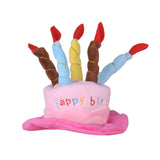 Pet's Birthday Cake & Candles Hat, Pet Birthday Hat, Cake and Candle Hat