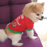 Holidays are Fun for Dogs too, especially the Cookies! SAVE 20%