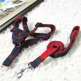 Denim & Nylon 2-Piece Harness & Leash Set - Available in 3 Colors and 5 Sizes