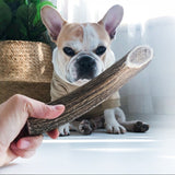 Deer Antler Chews for Dogs - A Natural and Nourishing Treat!