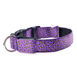Purple LED Dog Collar, Purple Leopard Print Dog Collar, Purple Dog Collar, Dog Collar