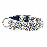 White LED Dog Collar, White Leopard Print Dog Collar, White Dog Collar, Dog Collar