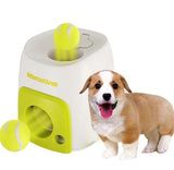 Interactive Fetch Machine-Great for home alone pets!