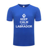 Keep Calm and walk the Labrador t-shirt, blue keep calm t-shirt