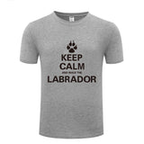 Keep Calm and walk the Labrador t-shirt, gray keep calm t-shirt