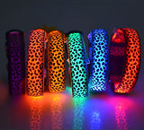 Light Up Leopard Design Dog Collar