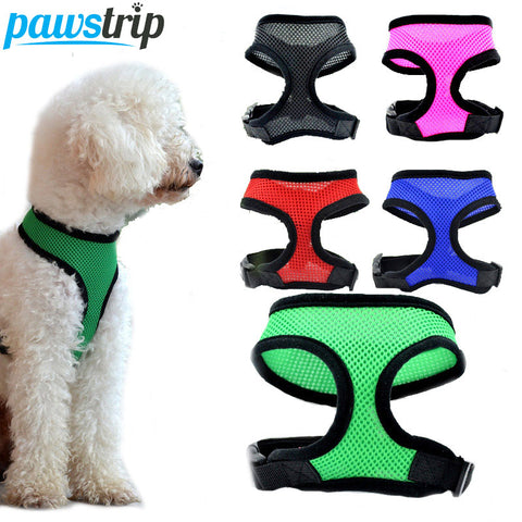 Collar Harness for Small Dogs
